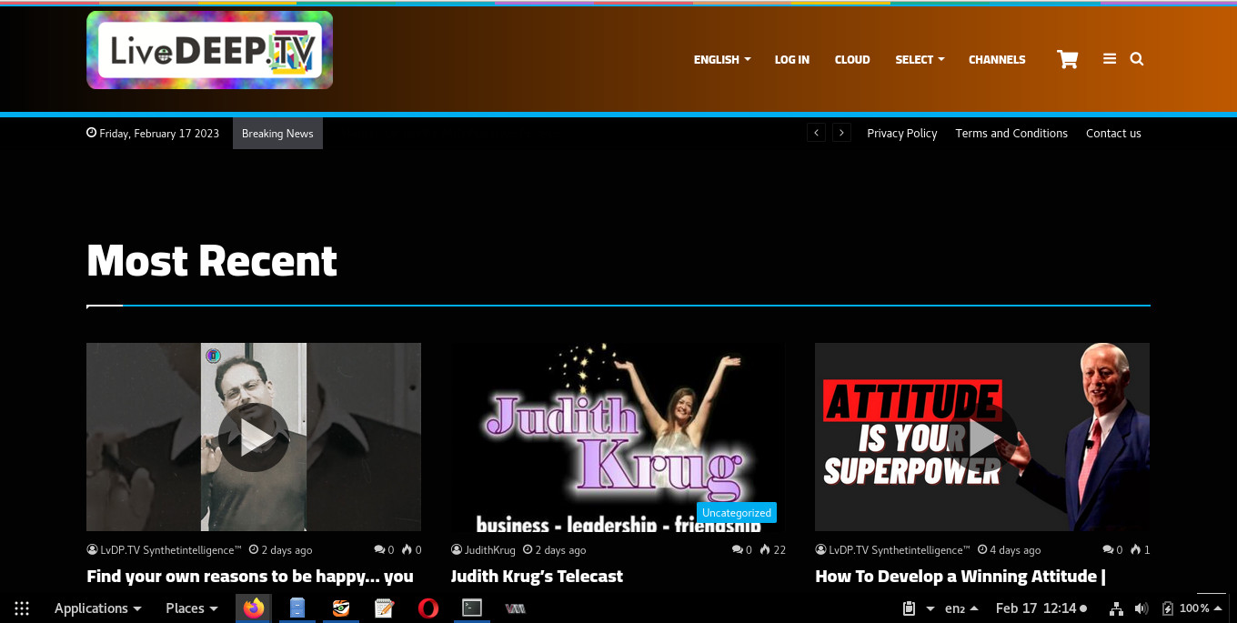 Judith Krug on internet TV